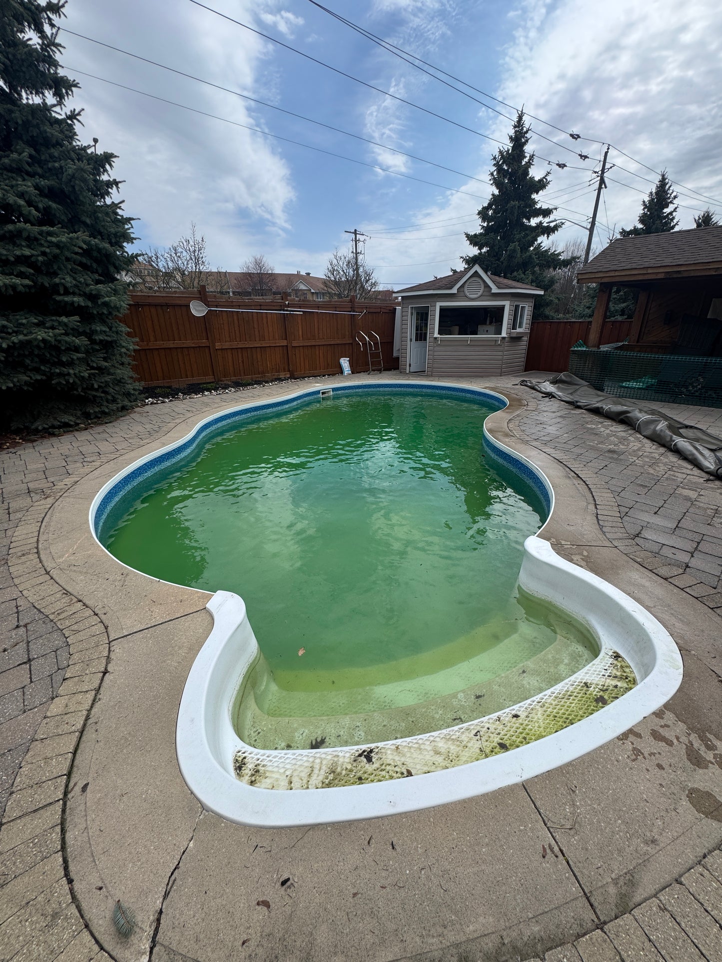 Pool Opening Service
