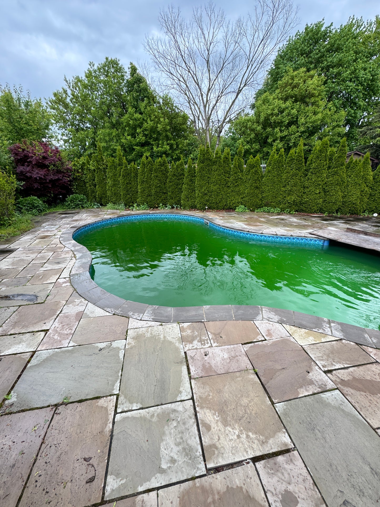Pool Opening Service