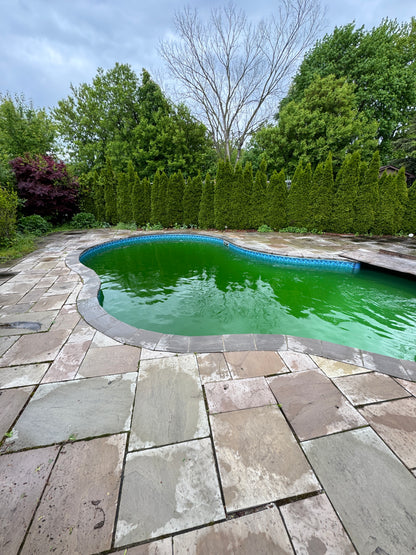 Pool Opening Service