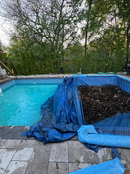 Pool Opening Service