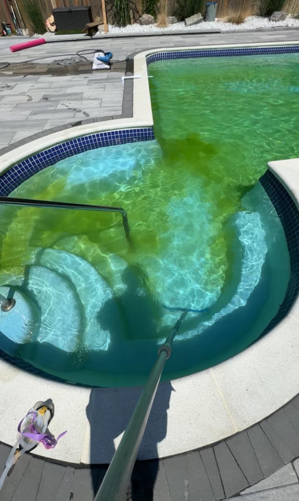 Green To Clean