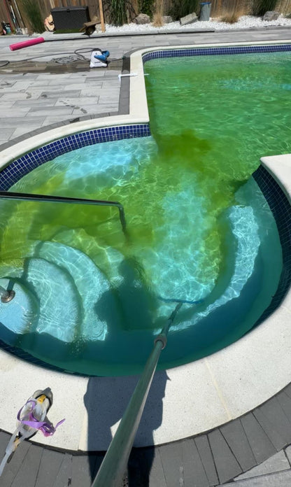 Green To Clean